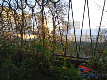 улица Калинина,31 в Симферополе - simferopol.yutvil.ru - фото 5
