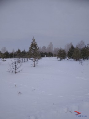 Баженово ул Южная д 7 в Симферополе - simferopol.yutvil.ru - фото 5 Баженово ул Южная д 7 в Симферополе - simferopol.yutvil.ru - фото 5