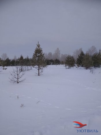 Земельный участок поселок Баженово в Симферополе - simferopol.yutvil.ru - фото 5 Земельный участок поселок Баженово в Симферополе - simferopol.yutvil.ru - фото 5