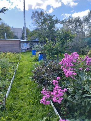 Коллективный сад номер 7, участок 58 в Симферополе - simferopol.yutvil.ru - фото 23 Коллективный сад номер 7, участок 58 в Симферополе - simferopol.yutvil.ru - фото 23