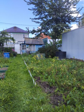 Коллективный сад номер 7, участок 58 в Симферополе - simferopol.yutvil.ru - фото 25 Коллективный сад номер 7, участок 58 в Симферополе - simferopol.yutvil.ru - фото 25