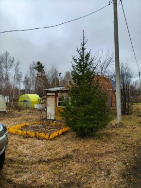 СНТ Родники в Симферополе - simferopol.yutvil.ru - фото 5 СНТ Родники в Симферополе - simferopol.yutvil.ru - фото 5