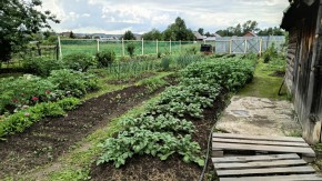 ул. 8-е Марта,46 в Симферополе - simferopol.yutvil.ru - фото 8