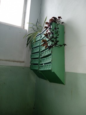 ул. Бажова,11 в Симферополе - simferopol.yutvil.ru - фото 2