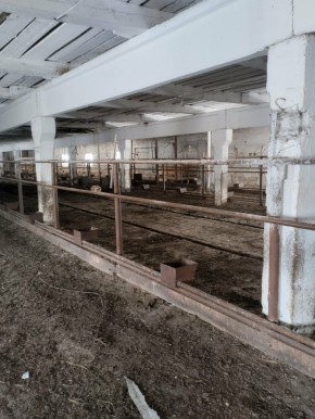 ул. Ленина,15а в Симферополе - simferopol.yutvil.ru - фото 14 ул. Ленина,15а в Симферополе - simferopol.yutvil.ru - фото 14