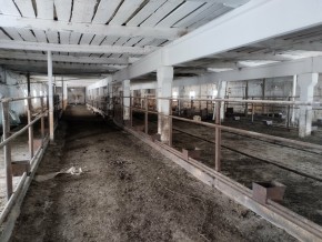 ул. Ленина,15а в Симферополе - simferopol.yutvil.ru - фото 16 ул. Ленина,15а в Симферополе - simferopol.yutvil.ru - фото 16
