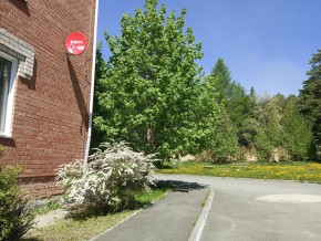 ул. Сосновая, 8 в Симферополе - simferopol.yutvil.ru - фото 25 ул. Сосновая, 8 в Симферополе - simferopol.yutvil.ru - фото 25