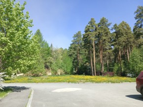 ул. Сосновая, 8 в Симферополе - simferopol.yutvil.ru - фото 26 ул. Сосновая, 8 в Симферополе - simferopol.yutvil.ru - фото 26