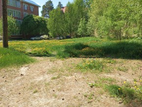 ул. Сосновая, 8 в Симферополе - simferopol.yutvil.ru - фото 33 ул. Сосновая, 8 в Симферополе - simferopol.yutvil.ru - фото 33