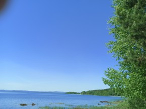 ул. Сосновая, 8 в Симферополе - simferopol.yutvil.ru - фото 34 ул. Сосновая, 8 в Симферополе - simferopol.yutvil.ru - фото 34